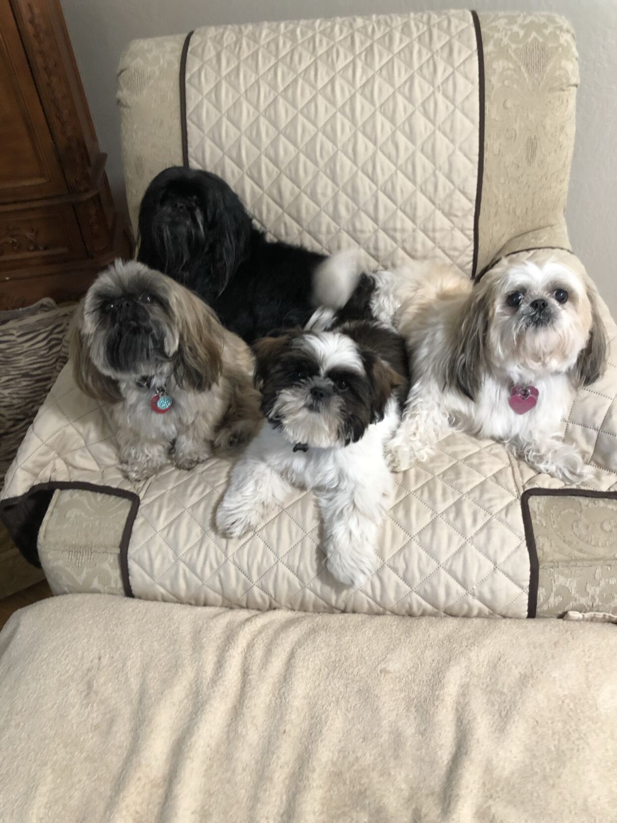 Mario, Mickey, Monty and Emily